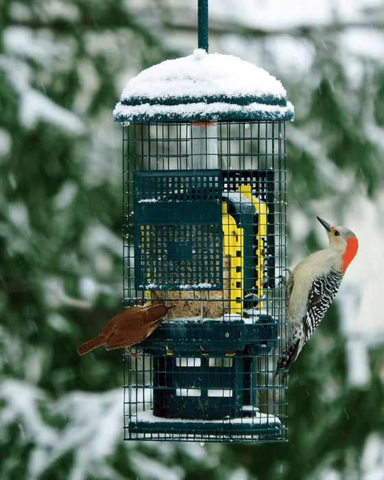Mangeoire à oiseaux anti-écureuils pour suif Brome Bird Care - Quincaillerie G.H. Berger