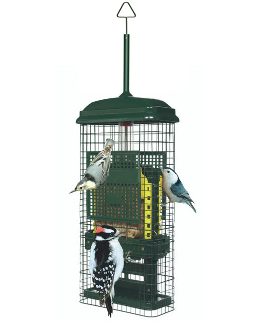 Mangeoire à oiseaux anti-écureuils pour suif Brome Bird Care - Quincaillerie G.H. Berger