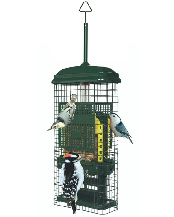 Mangeoire à oiseaux anti-écureuils pour suif Brome Bird Care - Quincaillerie G.H. Berger