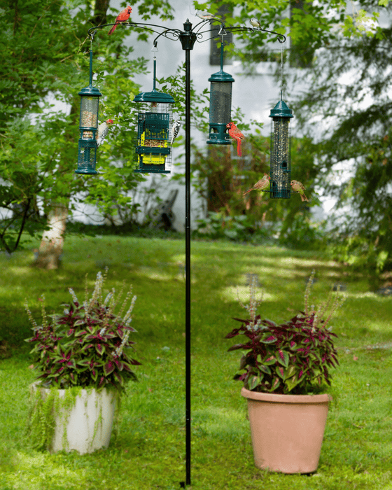 Ensemble de poteau et support Versa BirdsUP 1" X 7.7' Brome Bird Care - Quincaillerie G.H. Berger