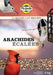 Arachides écalées pour oiseaux - 2 kg - Quincaillerie G.H. Berger