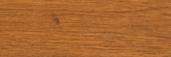 Teinture intérieure à base d'eau pour plancher et boiserie - Tan - 236 mL Finitec