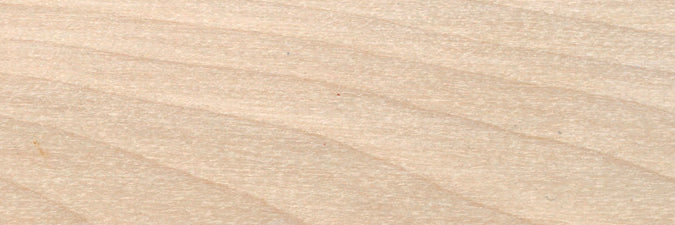 Teinture intérieure à base d'eau pour plancher et boiserie - Artic - 940 mL Finitec