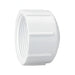 Capuchon en PVC blanc 2" (F) NPT Lasco - Quincaillerie G.H. Berger