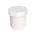 Bouchon hexagonal blanc 1-1/4" (M) NPT Lasco - Quincaillerie G.H. Berger
