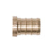 Bouchon en laiton 1/2" pour Pex - Paquet de 25 PlomSource - Quincaillerie G.H. Berger