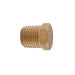 Bouchon hexagonal en laiton 1/8" (M) NPT PlomSource - Quincaillerie G.H. Berger