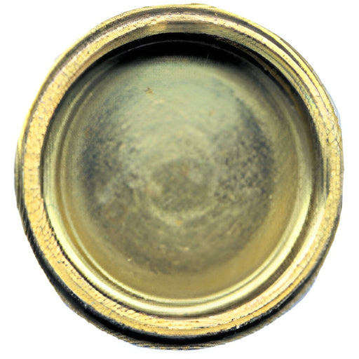 Capuchon en laiton pour boyau d'arrosage 3/4" 937-4930101 - Sioux Chief - Quincaillerie G.H. Berger