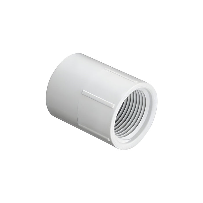 Adaptateur en plastique Slip X FPT 3/4" Spears - Quincaillerie G.H. Berger